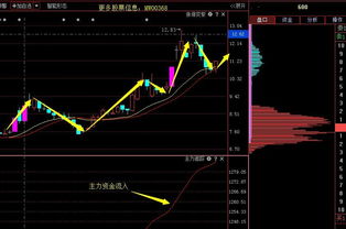 潛力牛股分析 603009 - 上海自貿(mào)區(qū)低價(jià)小市值軟件股投資價(jià)值解析