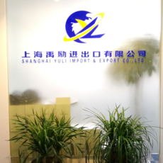 上海報(bào)關(guān)代理與軟件代理開(kāi)發(fā) 雙輪驅(qū)動(dòng)下的企業(yè)跨境與數(shù)字化新機(jī)遇